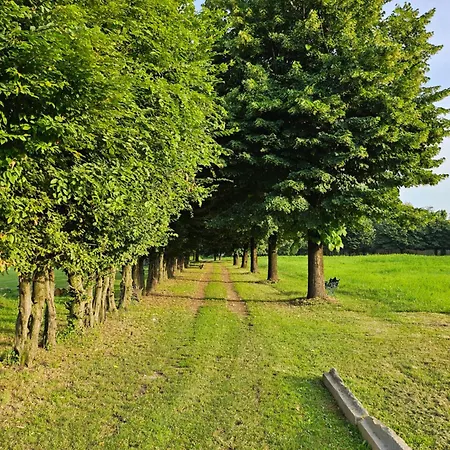 Bed & Breakfast Antico Borgo Di Liteggio *