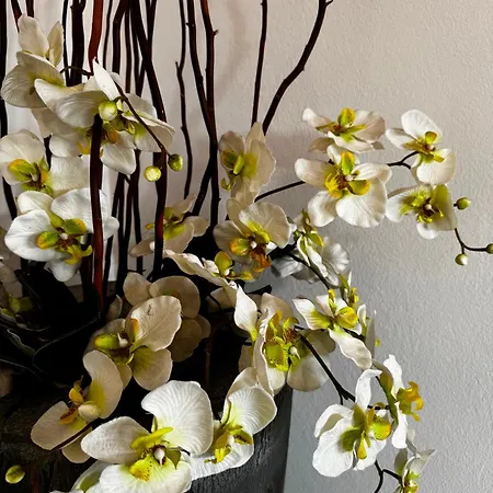Bed & Breakfast Antico Borgo Di Liteggio Cologno al Serio
